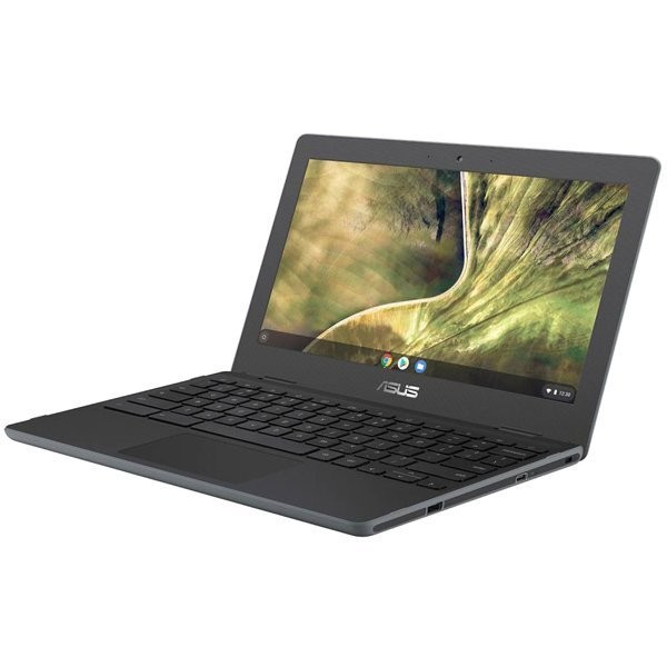 ASUS TeK Chromebook C204MA-GA0030 0192876840689