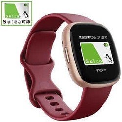 Fitbit Versa 4 FB523RGRDFRCJK ビートジュース　0810038858784