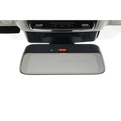 ALPINE アルパイン BMW専用デジタルミラー リアカメラモデル DMR-DM900-BMW-IC 4958043025831
